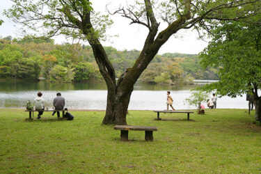 一碧湖(いっぺきこ)｜伊東市｜四季折々の風景が楽しめる、一碧湖で自然探索