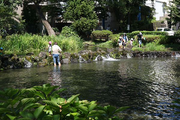 白滝公園@三島市の富士山の湧水公園