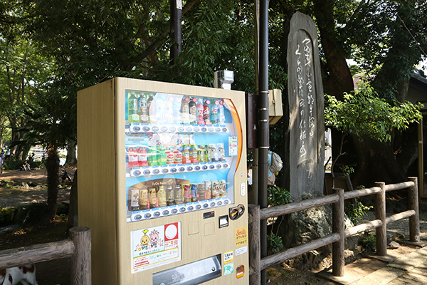 白滝公園@三島市の富士山の湧水公園